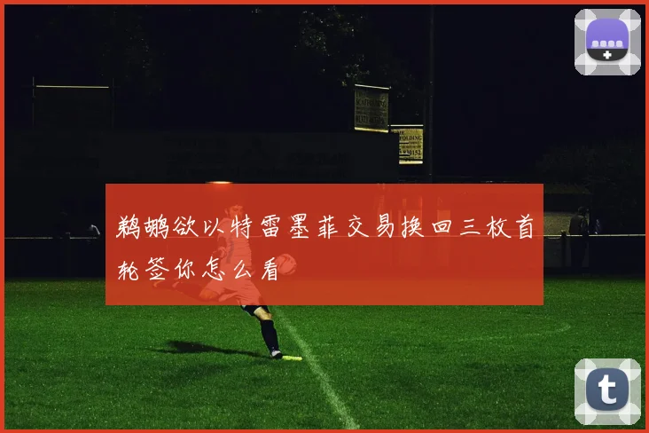 鹈鹕欲以特雷墨菲交易换回三枚首轮签你怎么看