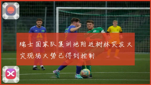 瑞士国家队集训地附近树林突发火灾现场火势已得到控制